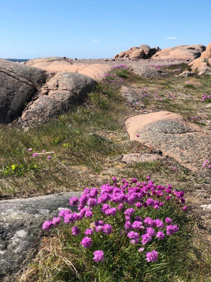 Apartamento Havings Skafferi Lysekil Exterior foto